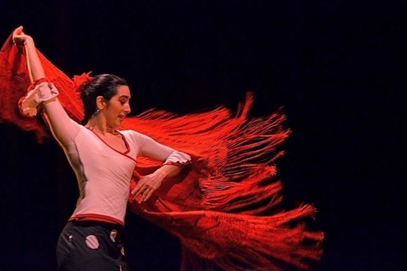 Le cirque Romanès présente "La Trapéziste des Anges": danse, musique, cirque et émotions pour toucher le ciel!