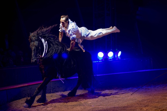 Le cirque Alexis Gruss et Les Farfadais vous présentent Quintessence! Ecuyers et acrobates pour un moment époustouflant et inoubliable.