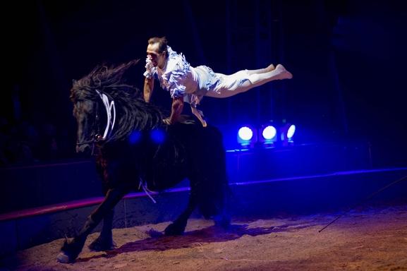 Le cirque Alexis Gruss et Les Farfadais vous présentent Quintessence! Ecuyers et acrobates pour un moment époustouflant et inoubliable.