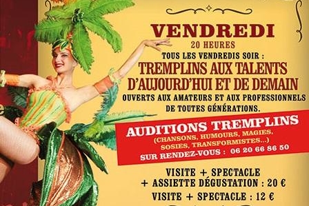"Les Tremplins des Nouveaux Talents" consacrés à la chanson, l’humour et les arts visuels au musée de l'insolite à Nice!
