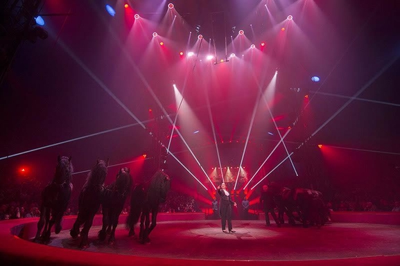 Le cirque Arlette Gruss vous accueille pour son spectacle-anniversaire