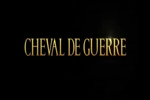 Découvrez le film Cheval de Guerre, au cinéma le  22 février !