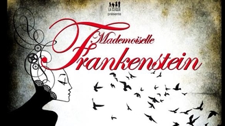 Avec Casting.fr découvrez la véritable histoire de Frankenstein à la Folie Théâtre