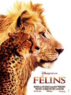 "Félins", un film majestueux en salles le 1 février !