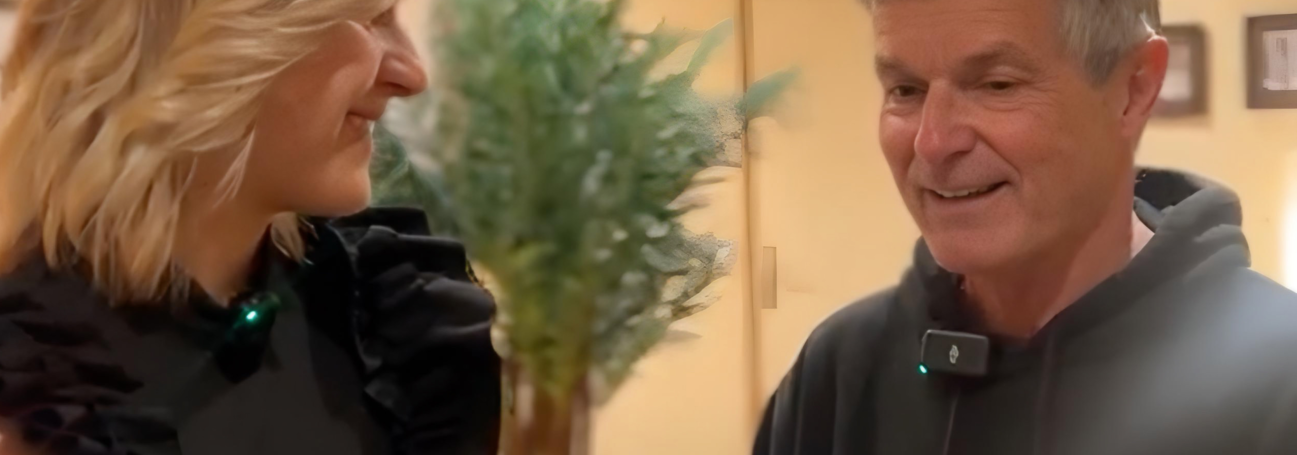 "En doublage, ce n'est pas la voix qui est importante" : rencontre avec