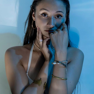 Chanaia