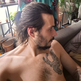 RaphaelVGDS