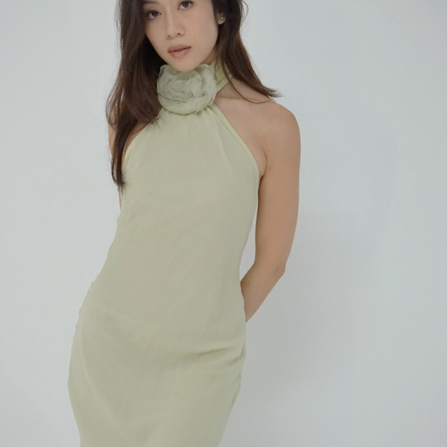 dianelele