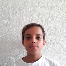 SAIN