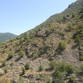 Estibere