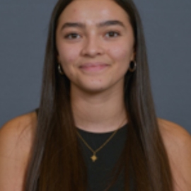 Lilaailloud
