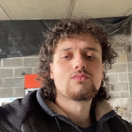 Mullet