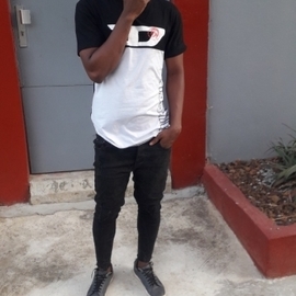 vinleBG005
