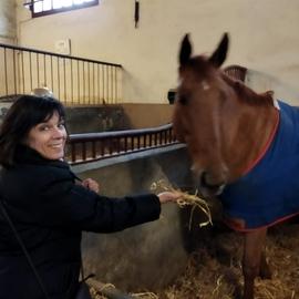 Vincennes2015