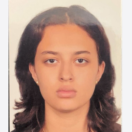05062005hiba