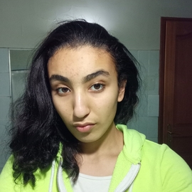 yaz1393