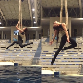 frenchie_mermaid
