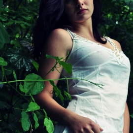 Megh33