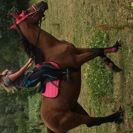 lucie5500
