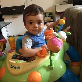Raphael15