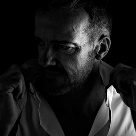Ludovicmodele