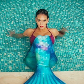 frenchie_mermaid