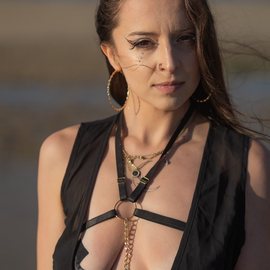 Ocemodel