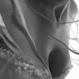 studio79