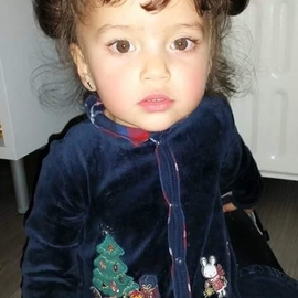 lina2013