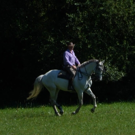 Vinok