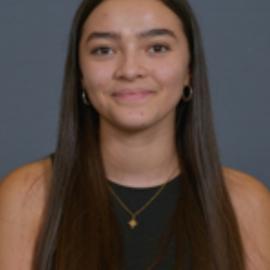 Lilaailloud
