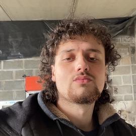 Mullet