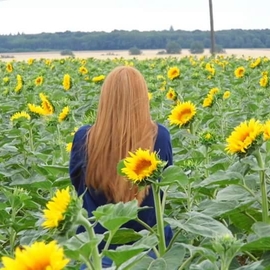 SoGinger