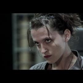 Papillon33