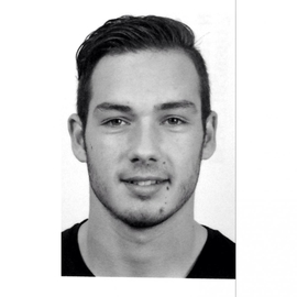 Vincent13perez
