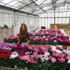Coquelicot83