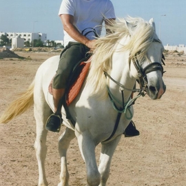 johtan