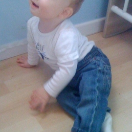Ilan28