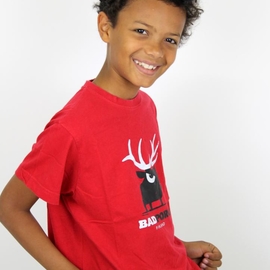 salomoncool