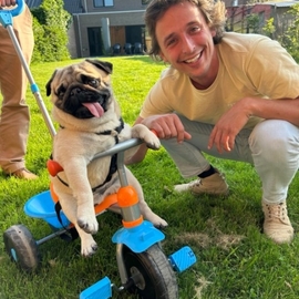 Swissking