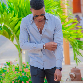 prvdostyle