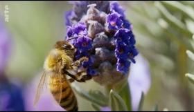 Voix off documentaire