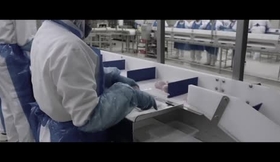 Iaross-chien de garde