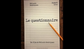 LE QUESTIONNAIRE