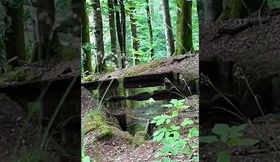 Un trésor en plein pays de Bitche