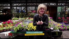 Chronique TMC - TV SHOW CARREMENT BIENS- STELLA CARPENTER