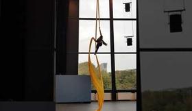 Vesta silks