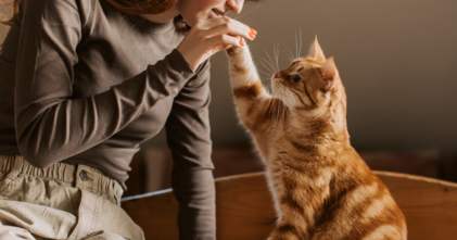 Casting femme dans la trentaine avec son chat pour la publicité d'une marque de croquettes