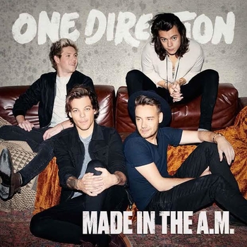 Le nouvel album des One D Made in the AM est dans les bacs, casting.fr vous offre leur single: Perfect