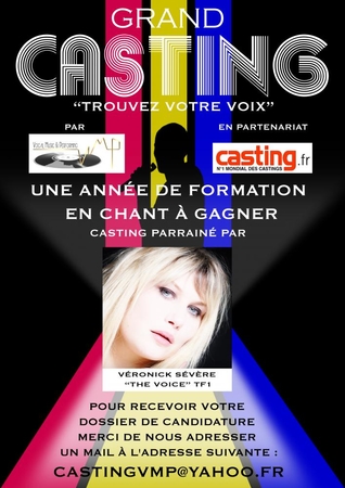 Vocal Music & Performing vous propose 1 an de formation artistique en partenariat avec Casting.fr !